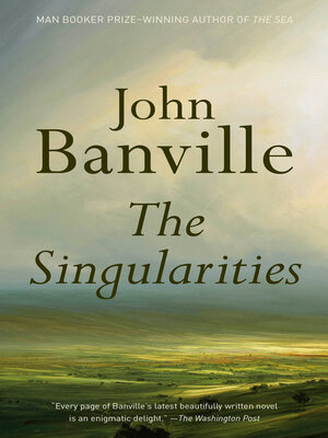 cover image of The Singularities